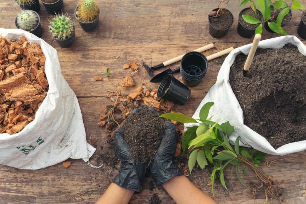 Closeup picture of  Gardener&rsquo;s Hands Planting Plant