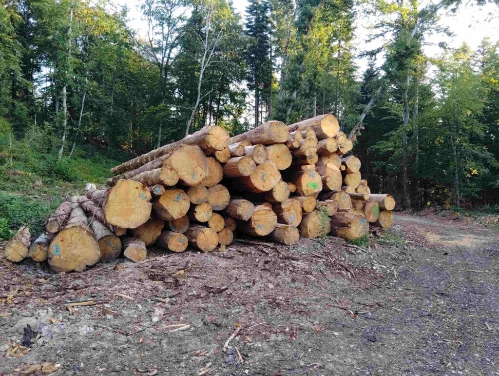 tas de bois_r